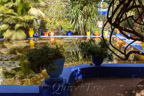 Marrakech, Jardin Majorelle