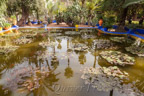 Marrakech, Jardin Majorelle
