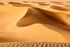 Idir mit seinem Dromedar verliert sich in der Weite der Wüste