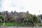 Terraza Caupolicán