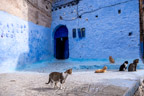 In der Altstadt von Chefchaouen
