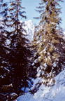 Tag 4: Bergtour in der Hohen Tatra